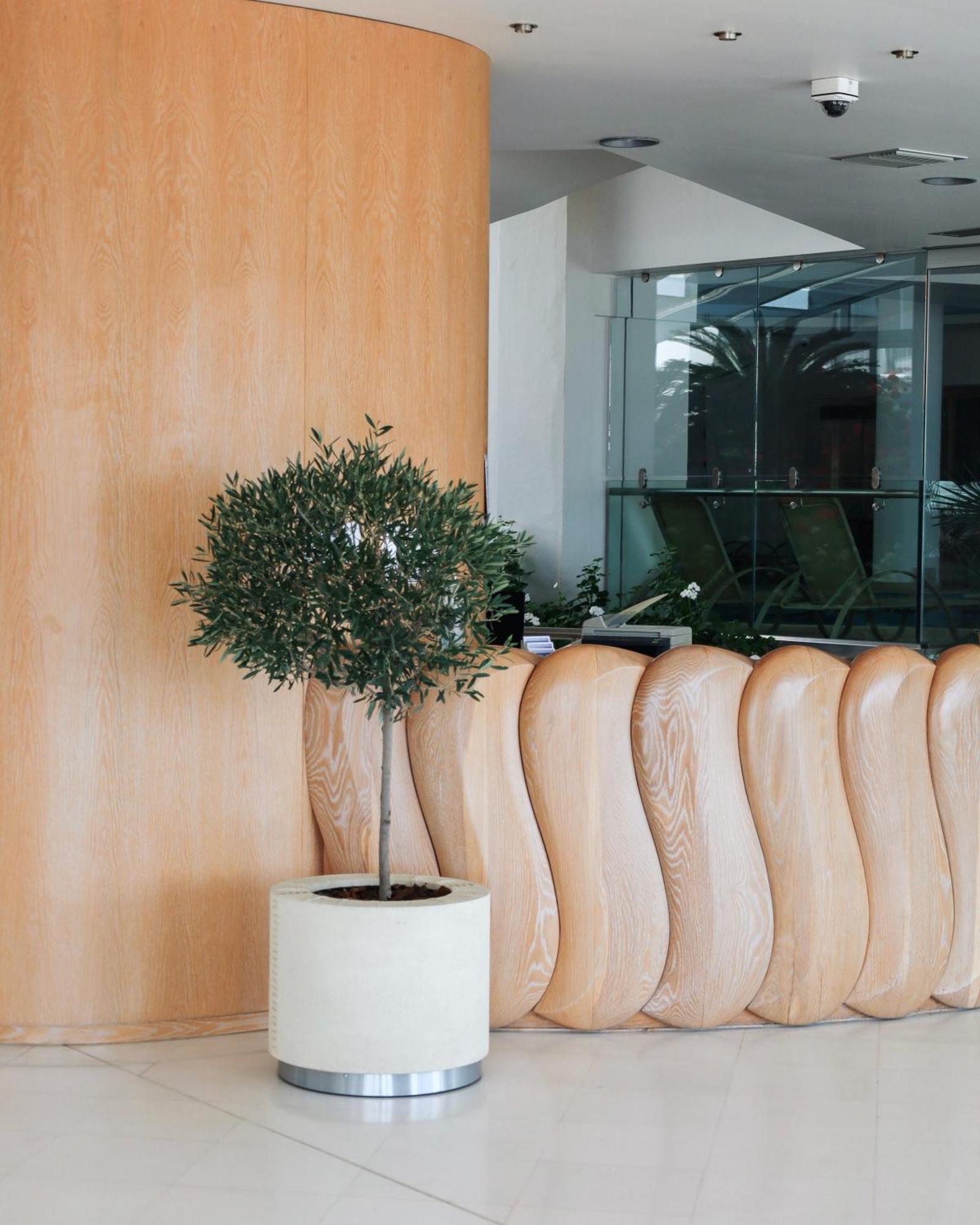 Aegean Blue Beach Hotel Nea Kallikrateia Ngoại thất bức ảnh